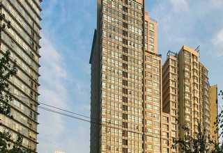 江阴耐酸碱氧化铝填料球批发